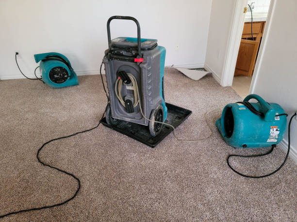 Best Professional water damage repair  in Hershey, PA